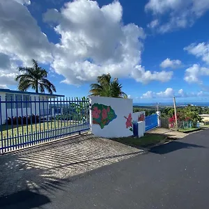 Million Dollar View In Puerto Rico Lodge Luquillo